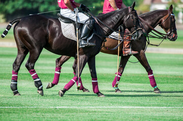 Style Polo Team
