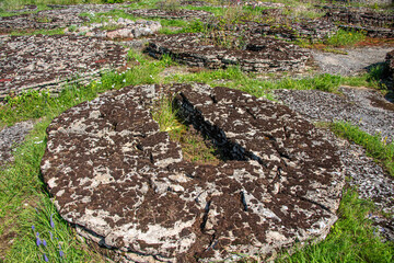 Rebala barrows, remins of prehistoric stone-cist graves in Rebala Heritage Reserve © Karl Allen Lugmayer