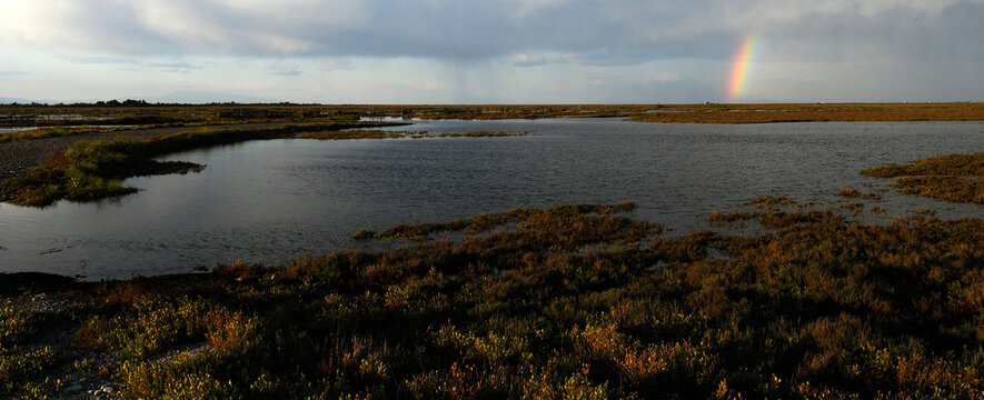 Feuchtgebiet mit Regenbogen (Katerini, Griechenland) // Wetland with rainbow (Katerini, Greece)