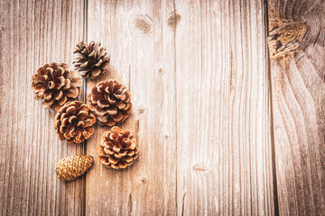 Pine cones on a wooden background with copy space, an autumn background