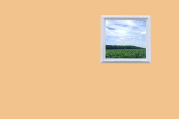 Color wall of the house with a closed window right and details natural blue sky and plantation background.