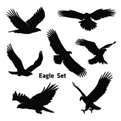 Obraz premium Set of silhouettes of eagles 