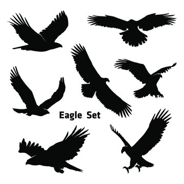 Set of silhouettes of eagles 