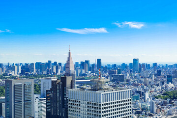 Fototapeta na wymiar 東京　都庁から眺める都心部