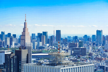 Fototapeta premium 東京 都庁から眺める都心部