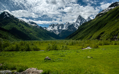 Fototapeta na wymiar Valley with low birches. Creek among Emerald grass. Green mountains with forest and rocky snowy mountains surround the valley, blue sky. Caucasus. Russia.