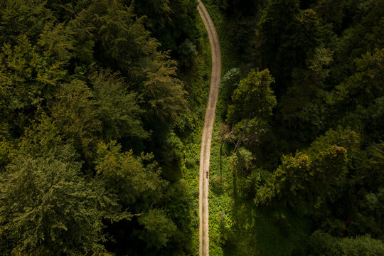Drone photograph with cyclist riding through a hard wood forest on dirt road. Bird eye perspective.