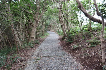 日本の美しく整えられた石の道。