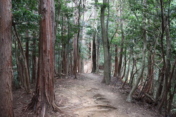 登山家による様々な風景の撮影。みんなに伝えたいです。