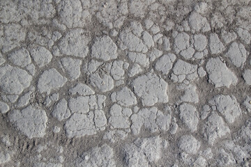 Texture of cracked chalk road. Background from cretaceous  road.