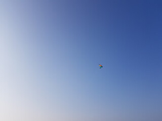 Naklejka na ściany i meble kite in the sky