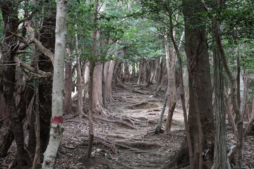 登山家による様々な風景の撮影。みんなに伝えたいです。