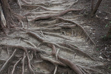 登山家による様々な風景の撮影。みんなに伝えたいです。