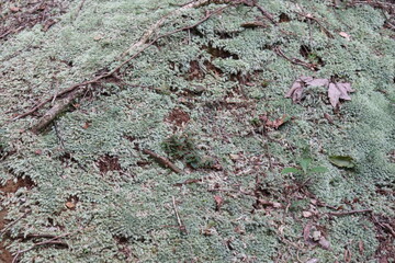 登山家による様々な風景の撮影。みんなに伝えたいです。