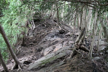 Fototapeta premium 登山家による様々な風景の撮影。みんなに伝えたいです。