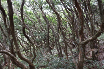 登山家による様々な風景の撮影。みんなに伝えたいです。