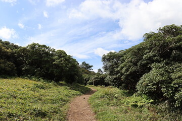 空の愛好家が撮影したさまざまな空。みんなに伝えたいです。