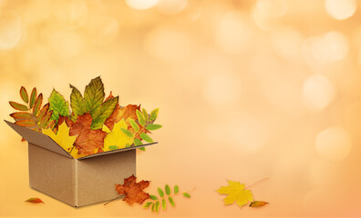 Naklejka na ściany i meble Opened craft cardboard box with colorful autumn leaves on soft bokeh