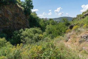 Obraz premium ravine in southern Spain with abundant vegetation
