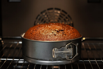 Homemade sponge cake in the oven. Baking red velvet cake in stove