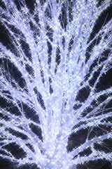 Xmasイルミネーション