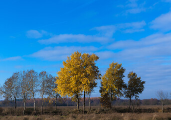 Sonniger Herbst