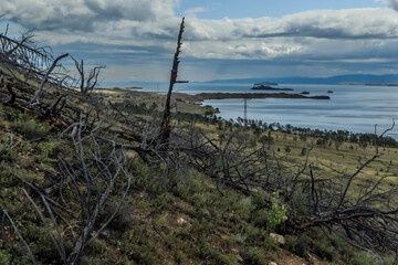 Dry dead bare tree without branches after fire among burnt felled forest in grass on slope of mountain. Blue Baikal lake with islands. Sky with clouds, mountains on horizon. Siberia nature landscape
