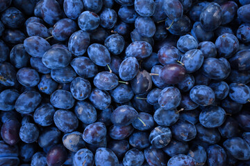 Fresh ripe plum on the open-air market. Background from plums.