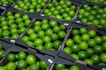 Fresh ripe limes in cardboard boxes at an open-air vegetable market. wholesale. Background from plums. selective focus