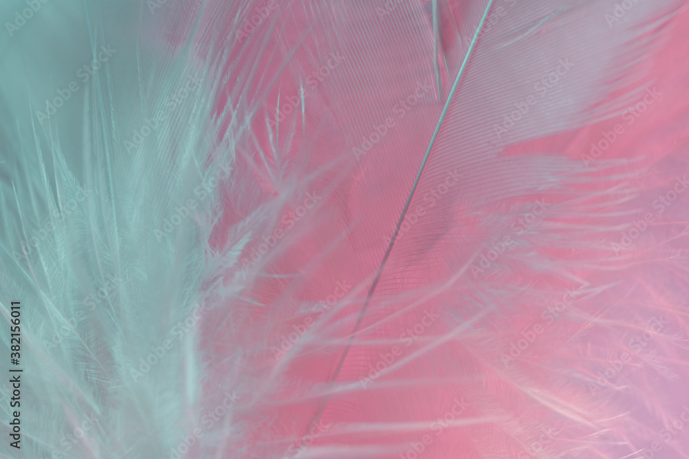 Aufkleber exotic texture feathers background close up. pink and aquamarine feathers pattern for your design. m