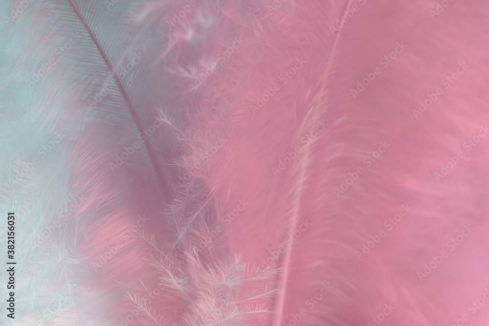 Aufkleber Exotic texture feathers background close up. Soft feathers pattern for your design. Macro photography view.