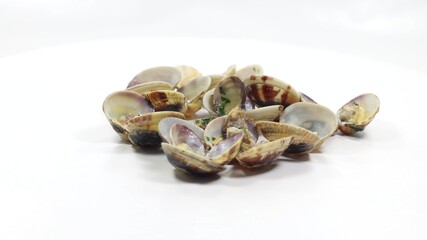 open clam shellfish seafood pasta sauce sauce