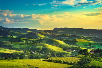 Foto op Canvas Langhe vineyards view, Castiglione Falletto and La Morra, Piedmont, Italy Europe. © stevanzz