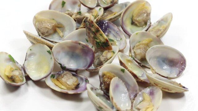 open clam shellfish seafood pasta sauce sauce