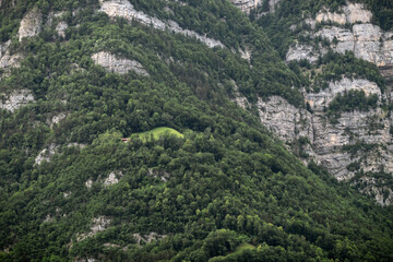 Green swiss alp mountain slope.