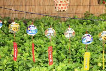 ほおづき市の風鈴