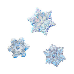 Three snowflakes isolated on white background. Macro photo of real snow crystals: elegant star...