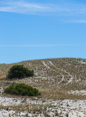 Isolation and Nature's Beauty - The dunes of Cape Cod-1