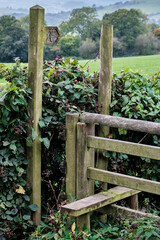 Stile & Sign