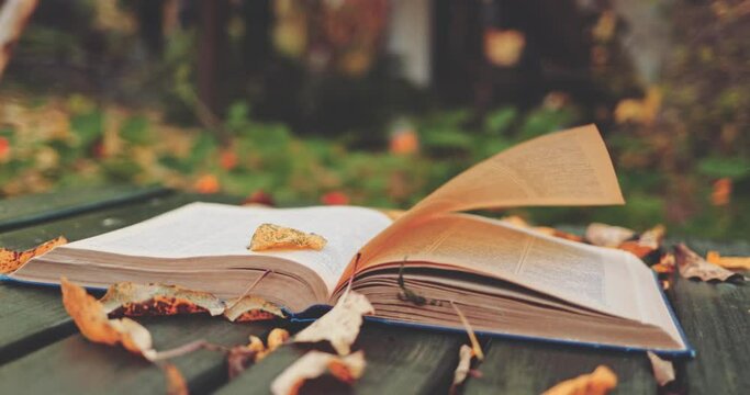Book Pages Turning In The Autumn Wind, Close Up. SLOW MOTION. Open book on an old table covered with fallen yellow leaves. Cozy magical fall aesthetics. 