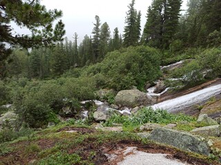 Obraz premium mountain river in the mountains