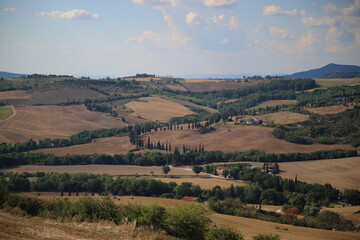 Naklejka premium The landscape of The Val D'Orcia in Tuscany, Italy