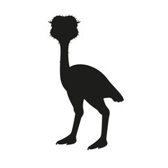 Ostrich silhouette icon. Strauss bird isolated. Vector Illustration.