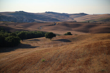 Obraz premium The landscape of The Val D'Orcia in Tuscany, Italy