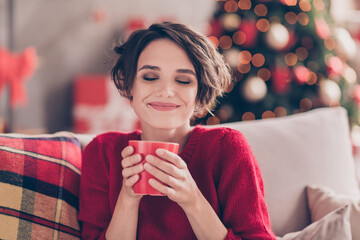 Portrait of positive lady smell aromatic coffee cup sit couch in house indoors with christmas x-mas atmosphere decoration wear jumper