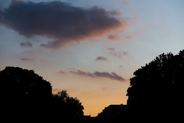 Parkbegrenzung (Bäume) im Gegenlicht bei Sonnenuntergang, Köln, Nordpark