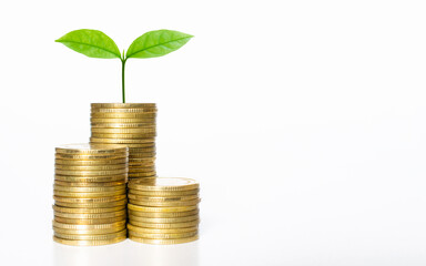 Fototapeta na wymiar business financial planning concept. row of coins stack with green plant growth up on white background. money management sustainable savings. success investment.