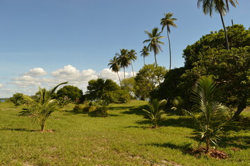 The perfect beaches on the paradise island of Morro do Sao Paolo in Brazil