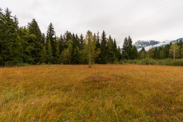 Rundweg am Schwarzsee bei Kitzbühel in Tirol bei Regen und Wolken