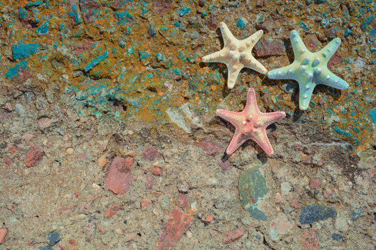 Photo background starfish on a concrete old slab covered with moss